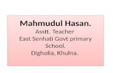 Mahmudul Hasan . Asstt . Teacher  East  Senhati Govt  primary School. Digholia , Khulna.