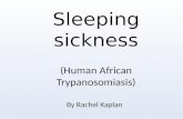 Sleeping sickness (Human African  Trypanosomiasis )