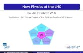 New Physics at the LHC