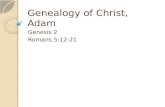 Genealogy of Christ, Adam