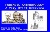 FORENSIC ANTHROPOLOGY A Very Brief Overview