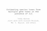 Estimating species trees from multiple gene trees in the presence of ILS