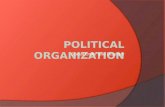 Political Organization