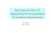 Salt Chip For The UT  Digital Data Processing Block &  Serializer  Requirements