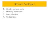Stream  Ecology I