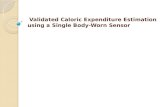 Validated Caloric Expenditure Estimation using a Single Body-Worn Sensor