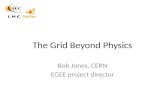 The Grid Beyond Physics