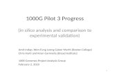 1000G Pilot 3  Progress ( in  silico analysis and comparison to experimental  validation)