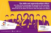 The  skills and  apprenticeships offers: