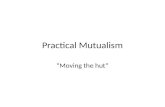 Practical Mutualism
