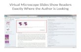Virtual Microscope Slides Show Readers Exactly Where the Author is Looking