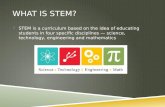 What is STEM?