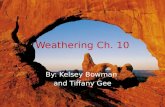Weathering Ch. 10