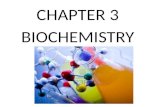 CHAPTER 3 BIOCHEMISTRY