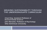 Weaving Sustainability Through the Undergraduate Curriculum