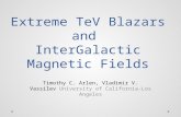 Extreme  TeV Blazars  and  InterGalactic  Magnetic Fields