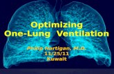 Optimizing One-Lung  Ventilation Philip  Hartigan , M.D. 11/25/11 Kuwait