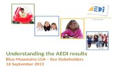 Understanding the AEDI results Blue Mountains LGA  – Key Stakeholders 16 September 2013