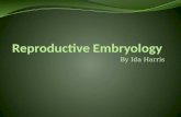 Reproductive Embryology