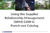 Using the SRM CDW-G  Punch-out Catalog