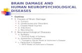 BRAIN DAMAGE AND HUMAN NEUROPSYCHOLOGICAL DISEASES