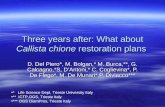 Three years after: What about Callista chione  restoration plans