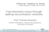 Fast electronic noses through spiking  neuromorphic  networks