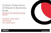 Custom Extensions  of Oracle E-Business Suite
