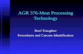AGR 376-Meat Processing Technology