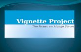 Vignette Project