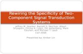 Rewiring the Specificity of Two-Component Signal Transduction Systems