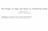 The Origin of Gaps and Holes in Transition Disks Uma Gorti  (SETI Institute)