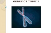 GENETICS TOPIC 4