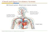 Closed and Open Circulatory Systems