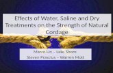 Effects of Water, Saline and Dry Treatments on the Strength of Natural  Cordage