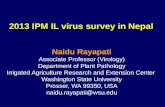 2013 IPM IL virus survey in Nepal