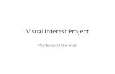 Visual Interest Project