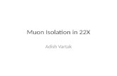 Muon  Isolation in 22X