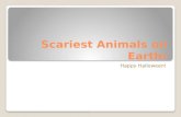 Scariest Animals on Earth!