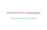 Romanticism in  Frankenstein