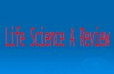 Life Science A  Review