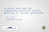 A neural test bed for simulating executive control deficits in saccade generation