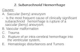 2. Subarachnoid  Hemorrhage