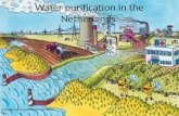 Water purification in the Netherlands