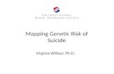Mapping Genetic Risk of Suicide