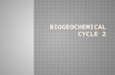 B iogeochemical cycle 2