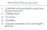 Microbial Polysaccharides