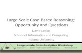 Large-Scale Case-Based Reasoning:  Opportunity and Questions
