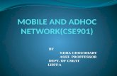 MOBILE AND ADHOC NETWORK(CSE901)