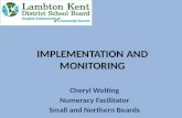 IMPLEMENTATION AND MONITORING